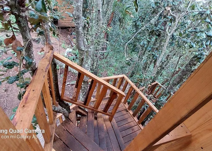 Cabaña en el Bosque de San José del Pacífico