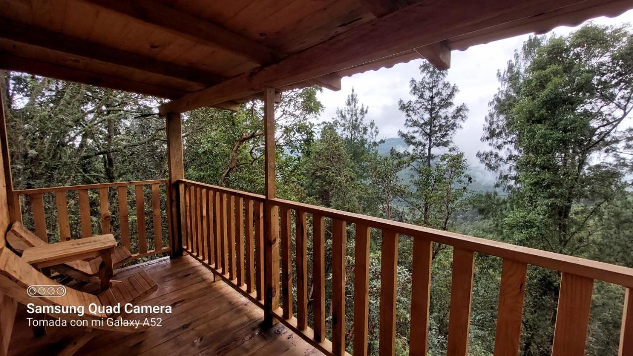 En El Bosque De San José Del Pacífico Chalet El Pacifico