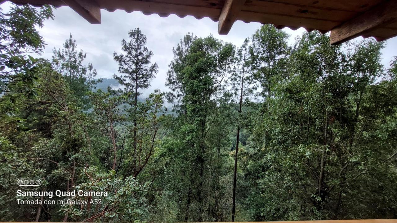 En El Bosque De San José Del Pacífico Chalet El Pacifico