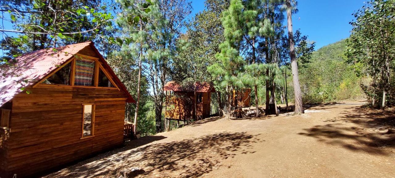 En El Bosque De San José Del Pacífico * El Pacifico